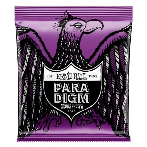 ERNIE BALL P02020