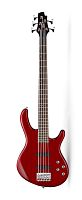 Cort Action-Bass-V-Plus-TR Action Series