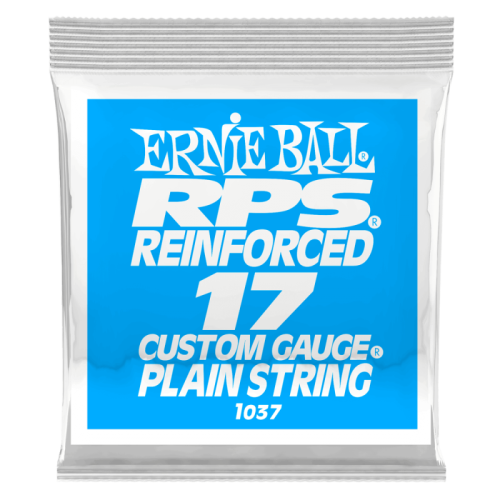 ERNIE BALL P01037